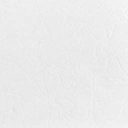 Chañi Blanco